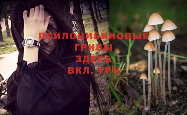 ПСИЛОЦИБИНОВЫЕ ГРИБЫ Краснотурьинск