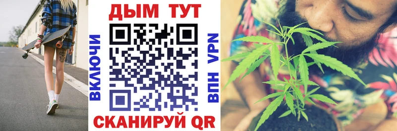 Конопля конопля  Купить где  Бабушкин 
